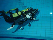 ���� 1 - ���� ���������� �������� ������-� (��������� PADI)